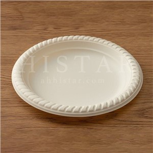 Reusable Eco Friendly Plates